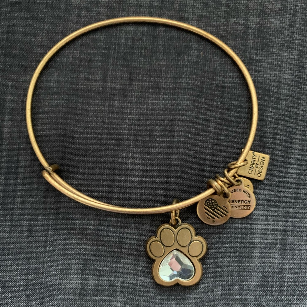 Alex and ani bracelet